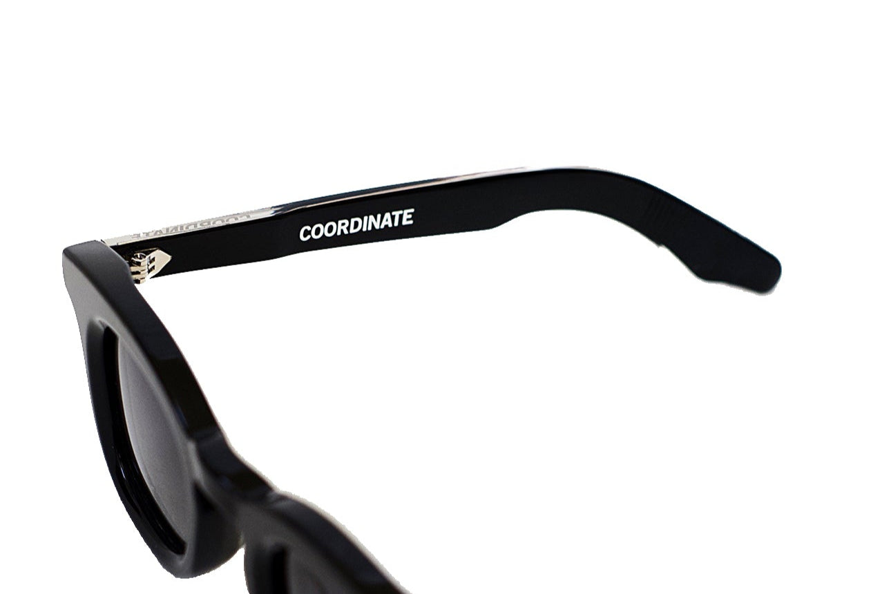 COORDINATE SUNGLASSES
